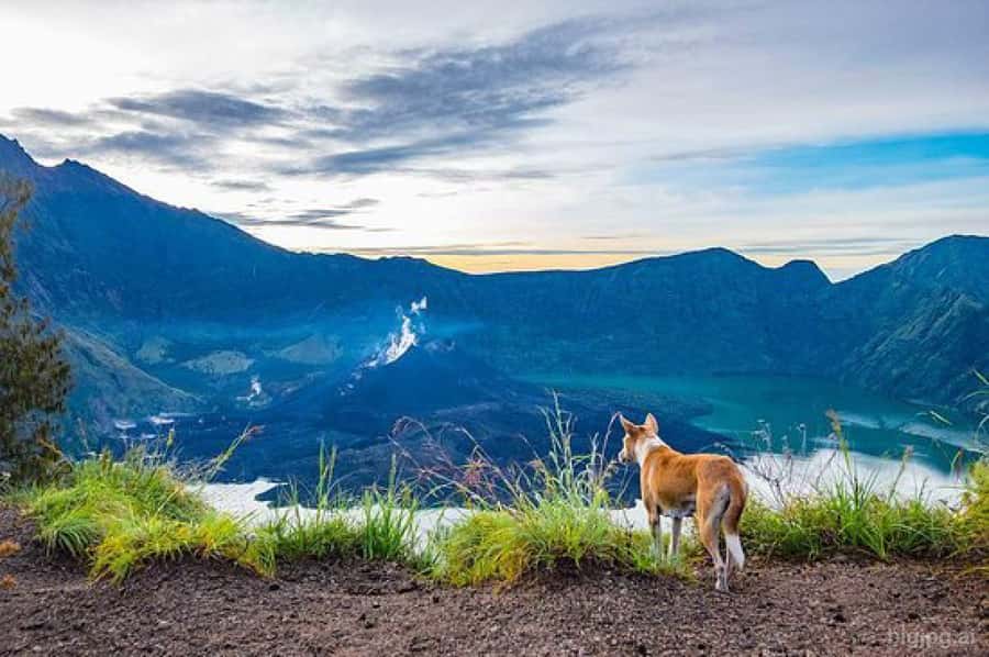 mount rinjani One day trek - The descent to Senaru by late afternoon