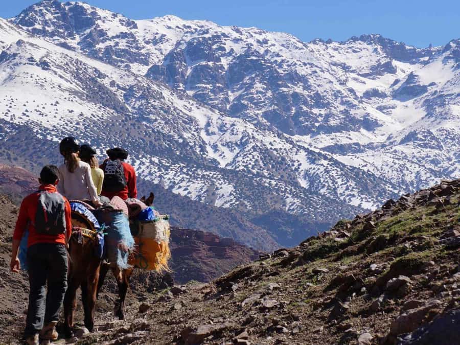 Mount Toubkal Trek 2 Days & 1 Night - Berber hospitality and the human side of the trek