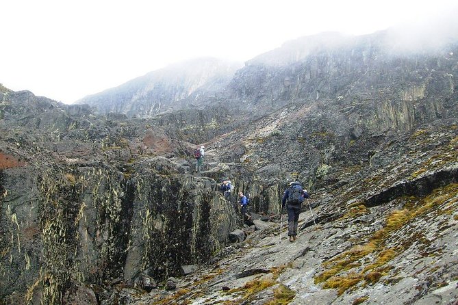 Mountain Rwenzori Trekking Uganda 9 Day Safari - Day four: Bigo Bog and Lake Bujuku