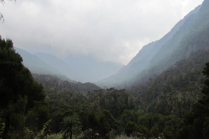 Mountain Rwenzori Trekking Uganda 9 Day Safari - Day six: Margherita glacier and the summit attempt