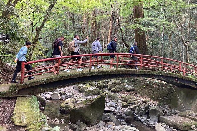 Mt. Inunaki Trekking and Goma Prayer Experience in Osaka - Why Mt. Inunaki feels different from a standard Osaka day trip