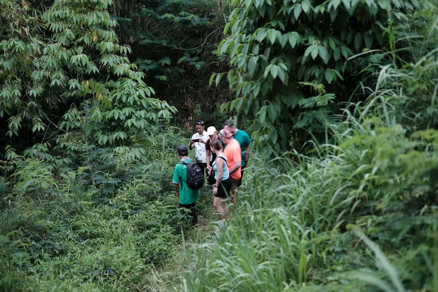 Mt. Merapi Majesty: Soft Trek and Botanic Village Tour - A quiet side of Mount Merapi