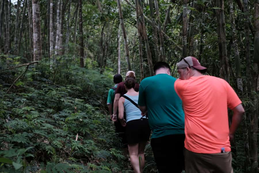 Mt. Merapi Majesty: Soft Trek and Botanic Village Tour - The drive from Yogyakarta to the foothills