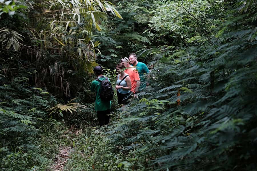 Mt. Merapi Majesty: Soft Trek and Botanic Village Tour - What happens if Mount Merapi is cloudy
