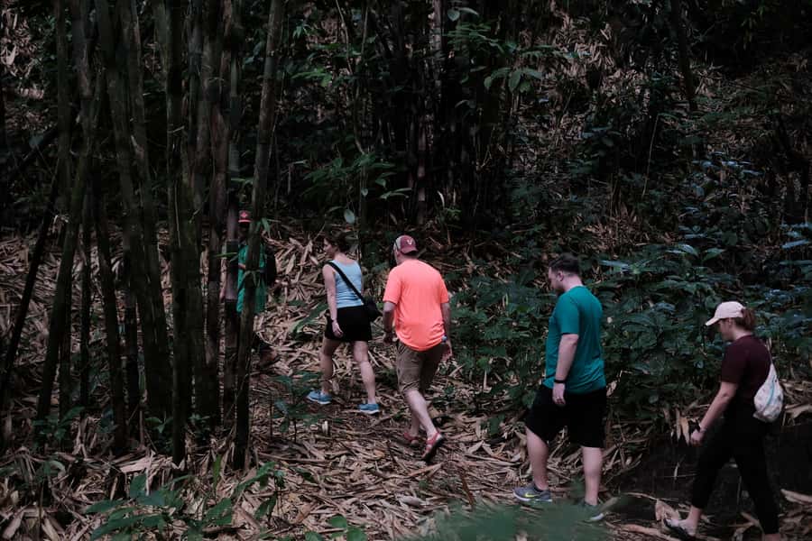Mt. Merapi Majesty: Soft Trek and Botanic Village Tour - What the $68 price includes