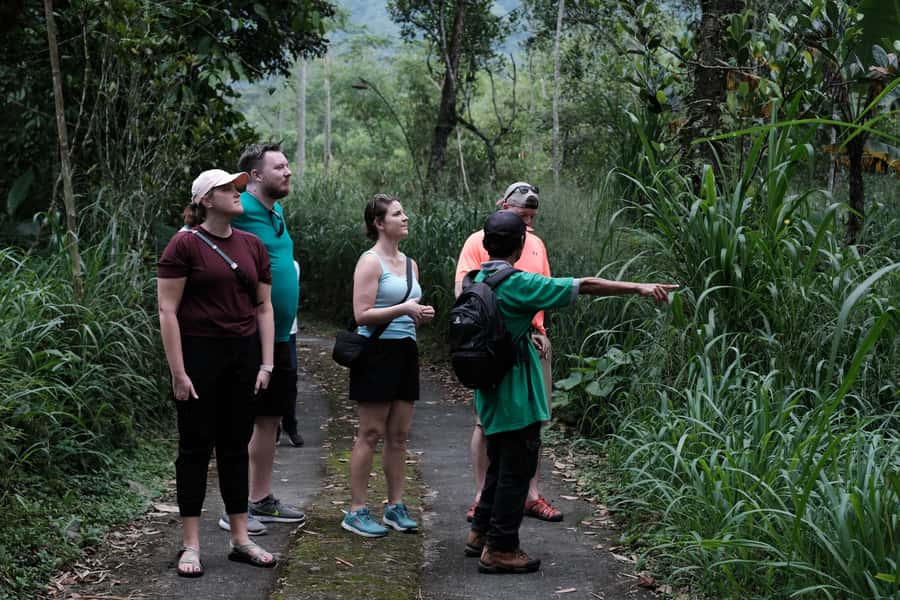 Mt. Merapi Majesty: Soft Trek and Botanic Village Tour - Walking through the traditional village