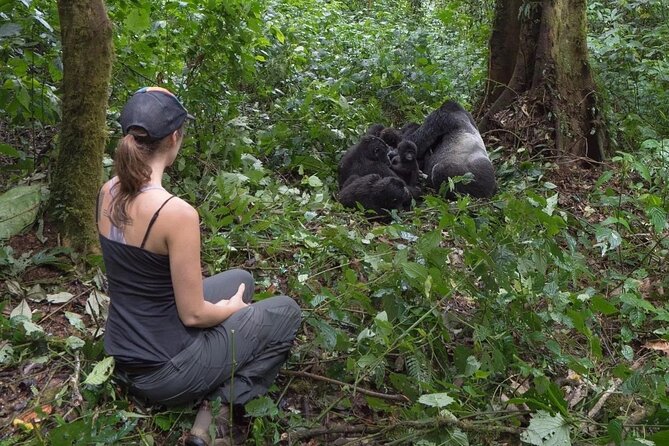 Multi Day Private Gorillas and Chimpanzee Trekking Tour in Uganda - Day 3: Chimpanzees and Bigodi Wetland