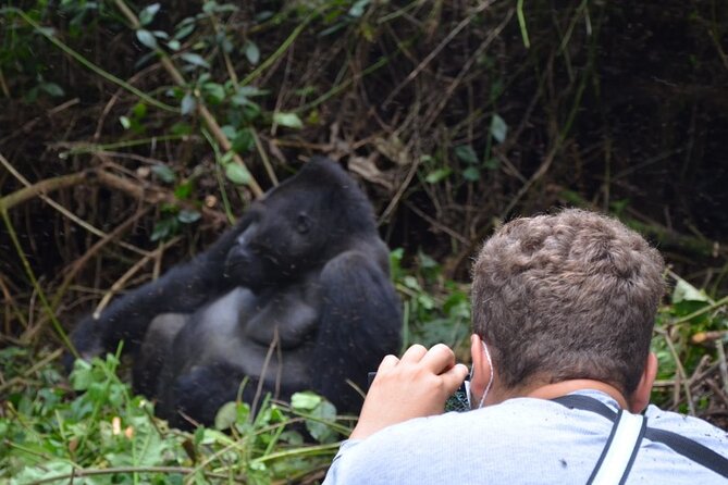 Multi Day Private Gorillas and Chimpanzee Trekking Tour in Uganda - Day 1: Entebbe to Kampala