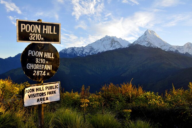 Multi-Day Sites of Nepal Tour from Kathmandu with Poon Hill Trek- 9 Days - Day 5: The pre-breakfast climb to Poon Hill