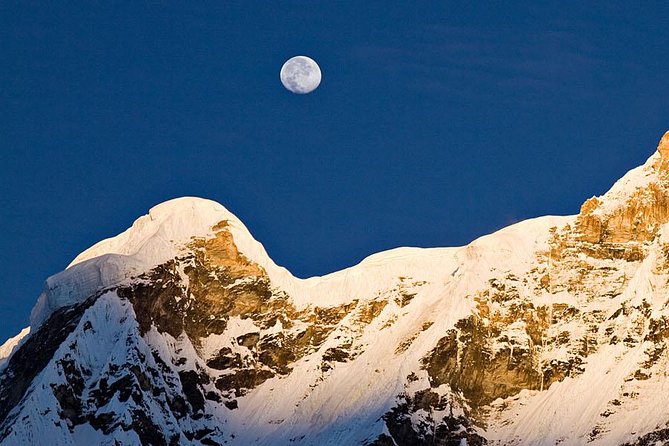 Multi-Day Sites of Nepal Tour from Kathmandu with Poon Hill Trek- 9 Days - Day 6: Rhododendron forest and the Gurung village of Ghandruk