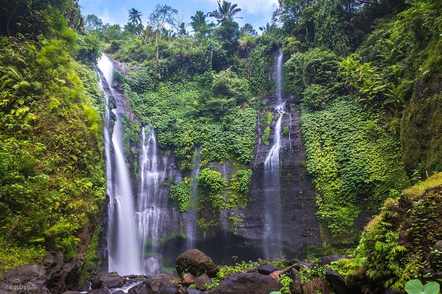 Munduk: Banyu Wana and Sekumpul Waterfall Trekking Tour - Why this northern Bali day works