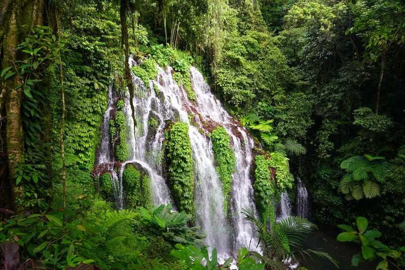 Munduk: Banyu Wana and Sekumpul Waterfall Trekking Tour - What the $50 covers, and what it does not