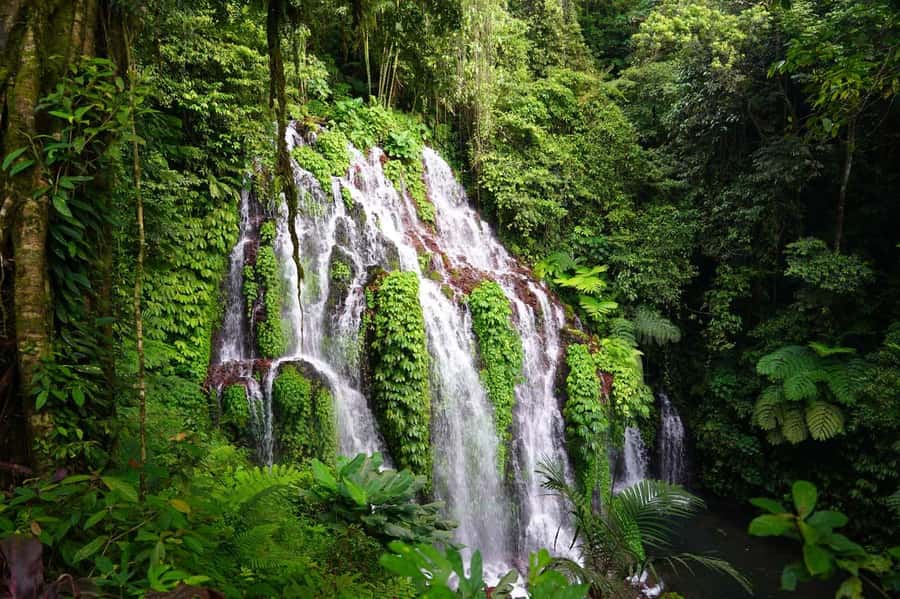 Munduk: Banyu Wana and Sekumpul Waterfall Trekking Tour - Rice terraces provide a gentle start