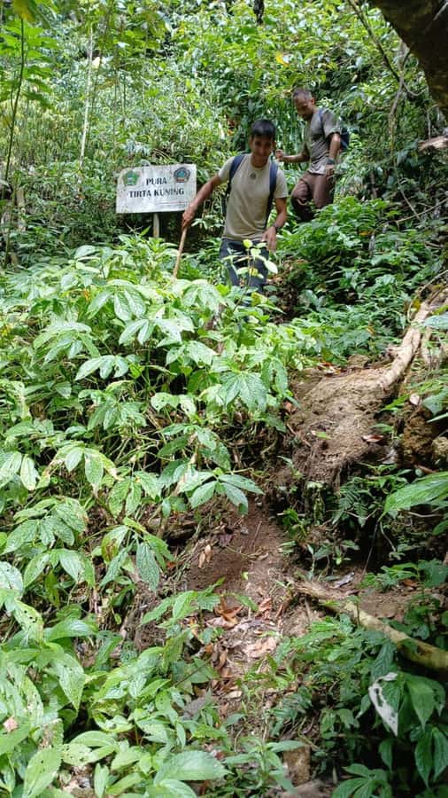 Munduk Jungle Trek to Banyumala & Pucak Manik – Private - Who should book this private trek?