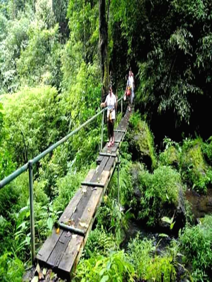 Munduk Jungle Trek to Banyumala & Pucak Manik – Private - The ride into the northern highlands