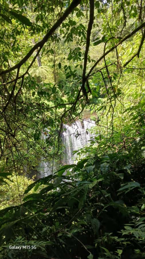 Munduk Jungle Trek to Banyumala & Pucak Manik – Private - Banyumala Twin Waterfalls and the best swim