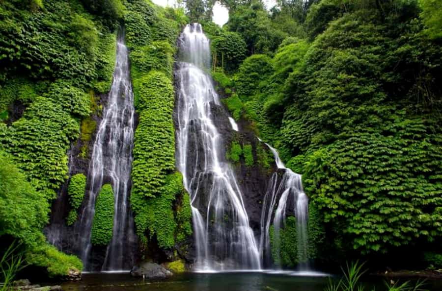 Munduk Jungle Trek to Banyumala & Pucak Manik – Private - What the $33 price really covers