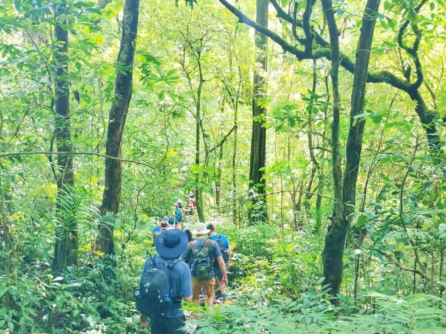 Munduk : Jungle Trekking,Canoeing,waterfall &authentic lunch - Why this northern Bali combination works
