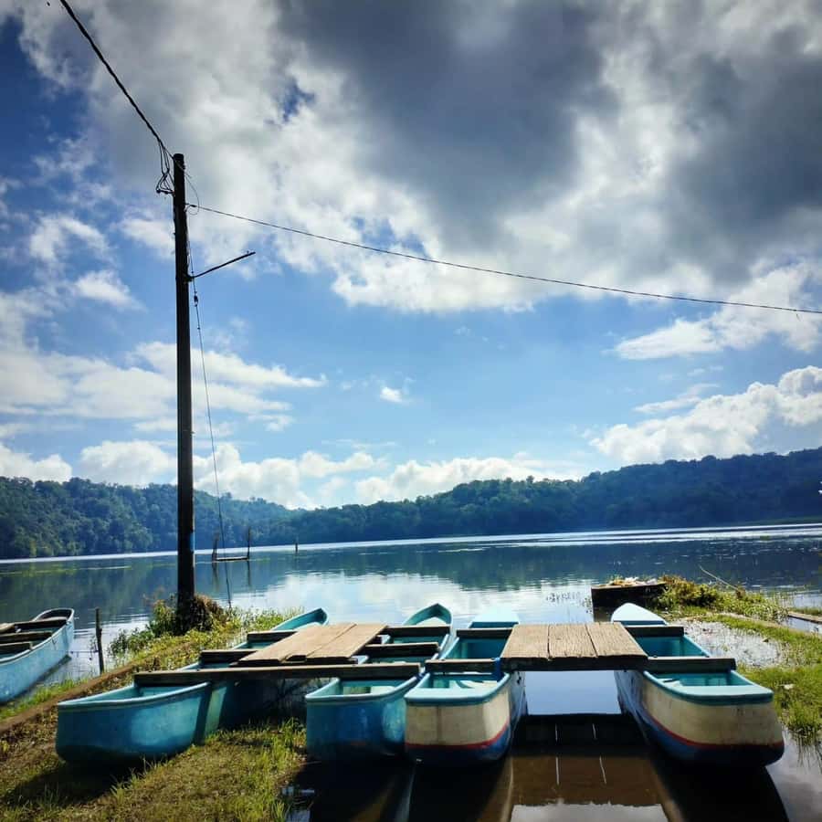 Munduk : Jungle Trekking,Canoeing,waterfall &authentic lunch - Guide quality and the role of Dedy