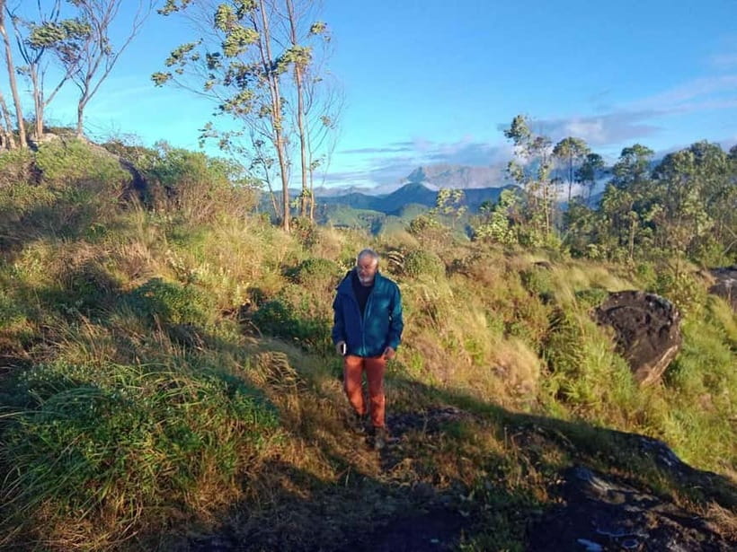 Munnar: Half day Guided Trek - Key points before you book