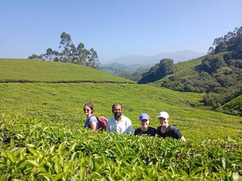 Munnar: Half day Guided Trek - Starting at Munnar Info and choosing your trail