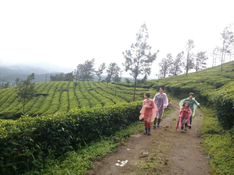 Munnar: Sunrise Trekking Adventure with Breakfast - Walking the first trails through Munnar’s high country