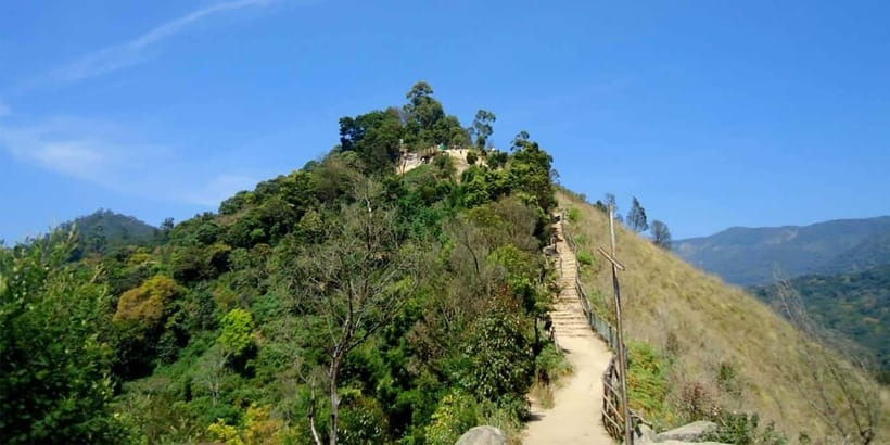 Munnar: Sunrise Trekking Adventure with Breakfast - Meeting at Anish Home Stay at 1,550 meters