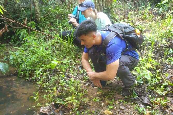 My Son sanctuary and mountain trekking - Why this Hoi An outing works so well
