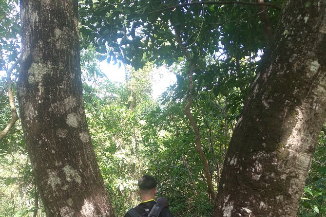 My Son sanctuary and mountain trekking - Breakfast, coffee, and a pause at 8 am