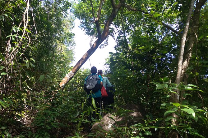 My Son sanctuary and mountain trekking - Following a former hunter through the forest