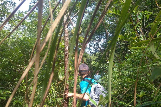 My Son sanctuary and mountain trekking - What $59 buys you