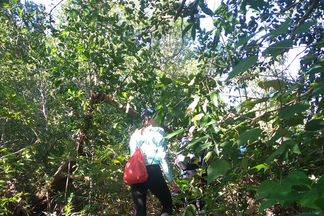 My Son sanctuary and mountain trekking - The timing from pickup to return