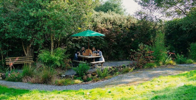 N. Ireland: Award Winning Guided Scenic Alpaca Trekking - Is this alpaca trek worth booking?