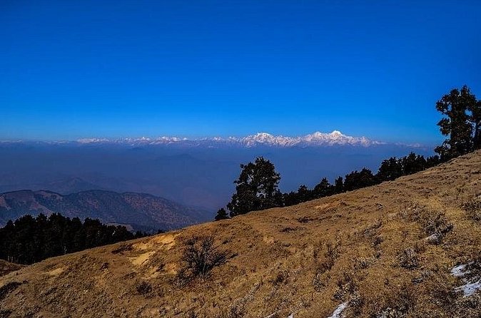 Nag Tibba 2 Days Trek (Pantwari to Pantwari) - What the food and camping are really like