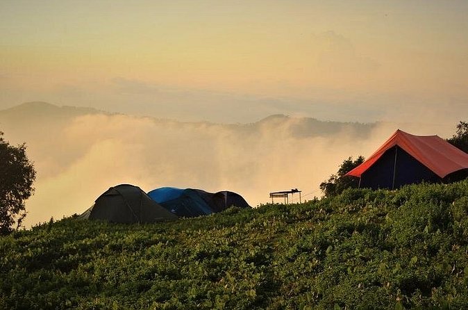 Nag Tibba 2 Days Trek (Pantwari to Pantwari) - The guide can shape the whole trip