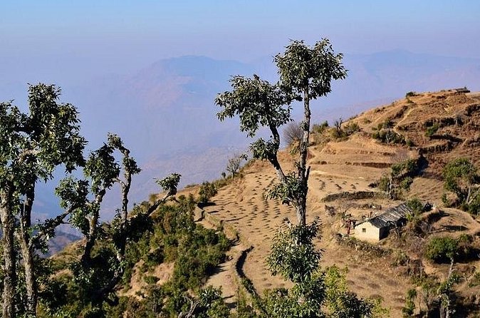 Nag Tibba 2 Days Trek (Pantwari to Pantwari) - Who should book this trek?