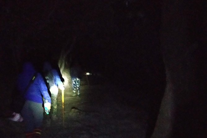 Nagtibba Trek (Pantwari to Pantwari) - Starting from Pantwari and finding your pace