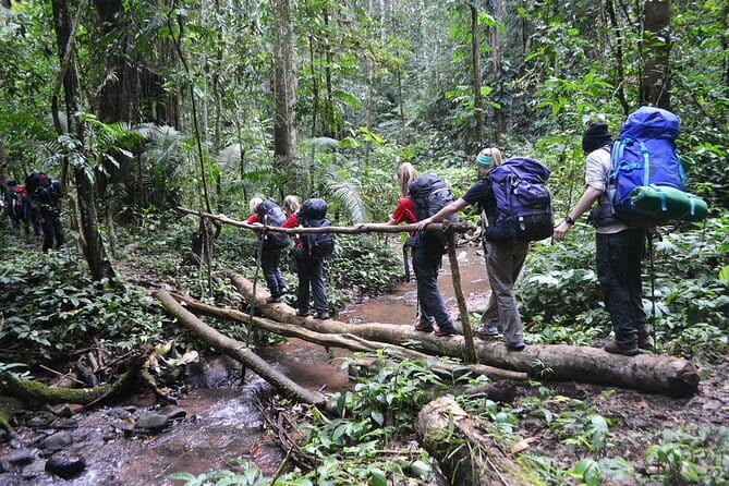 Nalan Trail and Khmu Tribe: 2 Days Trek in Nam Ha NPA - Key points to know before booking