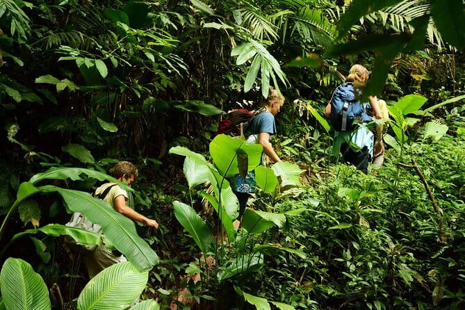 Nalan Trail and Khmu Tribe: 2 Days Trek in Nam Ha NPA - The small-group advantage