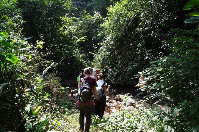 Nalan Trail Kmu Ethnic Experience - 2days forest trek with homestay. - What the $115 price really includes