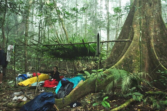 Nam Ha NPA 3 Day Wildlife Jungle Camp and Village Homestay Trek - Key points to know before you book