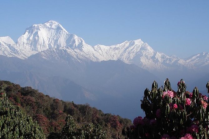 Nepal Round Tour with Annapurna Trek 14 Days - Why this Nepal route works so well