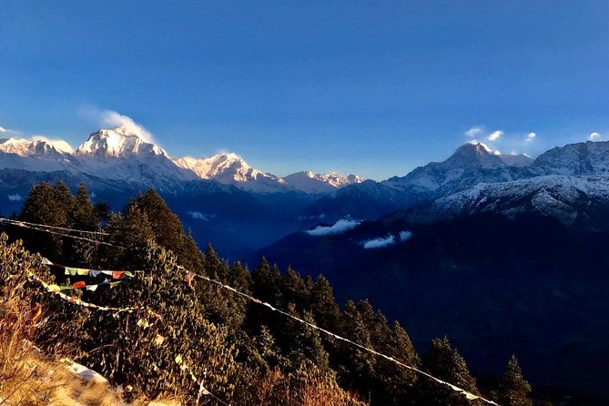 Nepal Round Tour with Annapurna Trek 14 Days - What the $1,227.78 price really covers