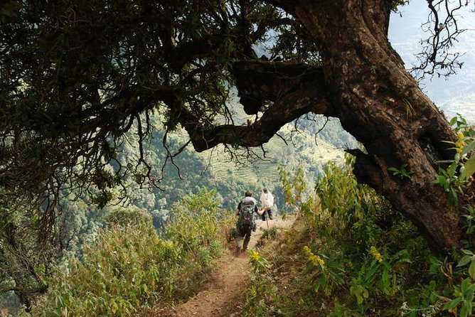 Nepal Round Tour with Annapurna Trek 14 Days - Who will get the most from this tour?