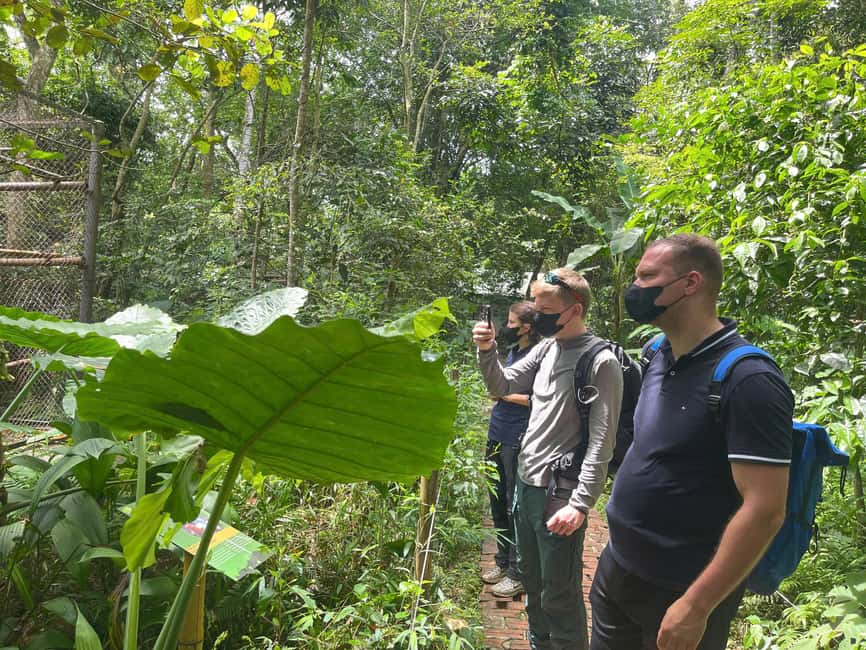 Ninh Binh: Cuc Phuong Jungle Trek, Wildlife & Ancient Caves - A Vietnamese lunch under the trees