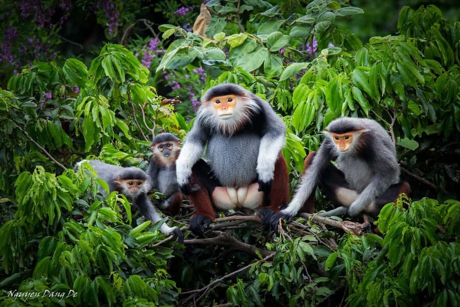 Ninh Binh: Cuc Phuong Jungle Trek, Wildlife & Ancient Caves - The 8:30 a.m. pickup and ride into the forest