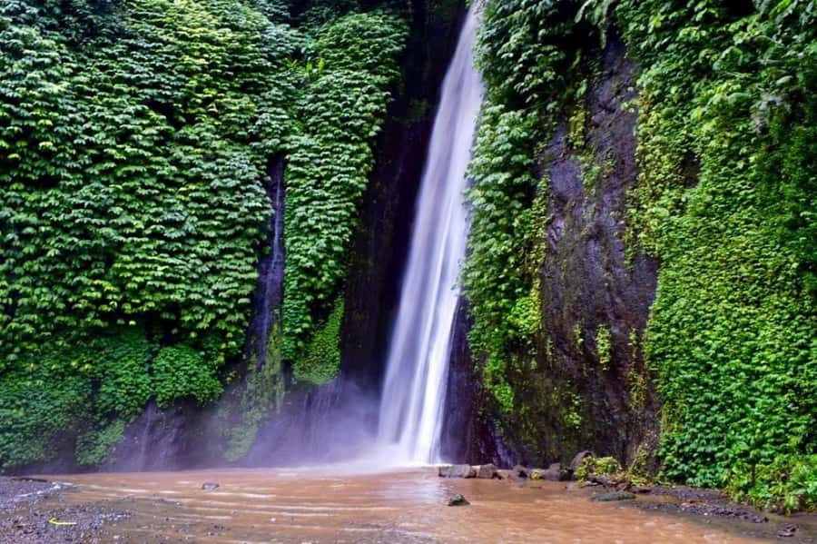 North Bali: Explore Munduk Waterfall Trekking Experience - Four waterfalls, one demanding Munduk trail