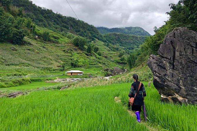 Number one top rated ethical cultural trekking and homestay by ETHOS - Day one: rice terraces, villages, and a serious climb