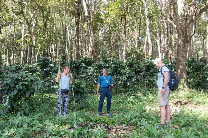 Off the Map Chiang Mai Jungle Coffee Trek Roast and Brew - Is $123.87 a fair price?