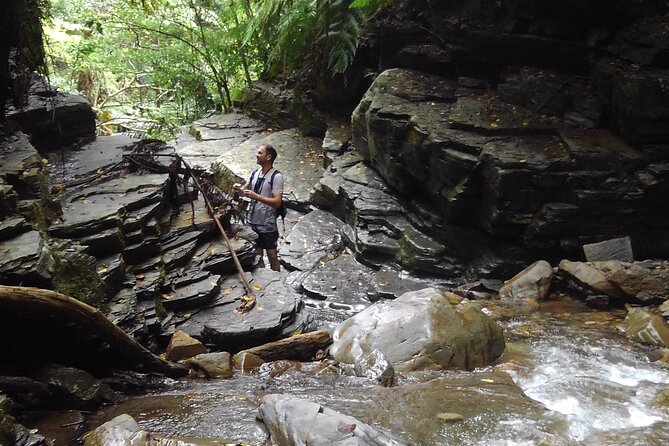 Okinawa Jungle Trails & Waterfalls – Private Yanbaru Tour - Key points at a glance
